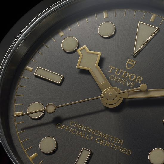 Tudor Replica Watch Black Bay 41, Stainless Steel, 41mm, M79680-0001