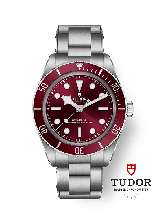 Tudor Replica Watch Black Bay 58, Stainless Steel, 39mm, M7939A1A0RU-0002