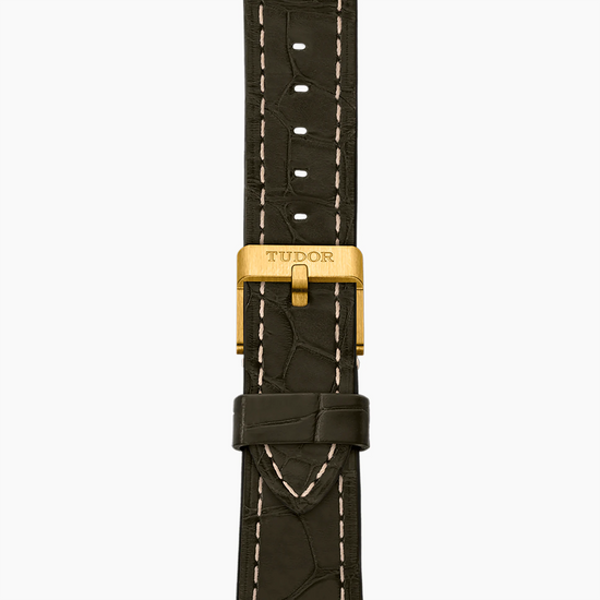 Tudor Replica Watch Black Bay Fifty-Eight 18K, 39mm, 18k Yellow Gold, M79018V-0001